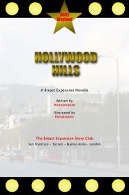 Hollywood Hills-03