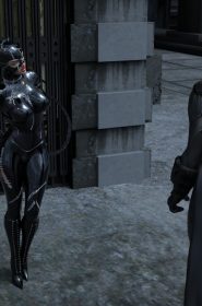 Catwoman Encounter (2)