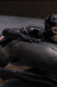 Catwoman Encounter (31)