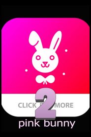 Pink Bunny 2 (1)