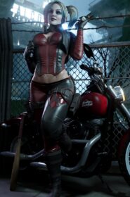 Harley Quinn (1)