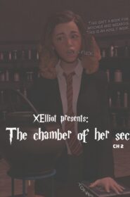The chamber of her secrets (39)