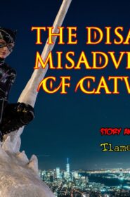 The Disastrcus Misadventures Of Catwoman (1)